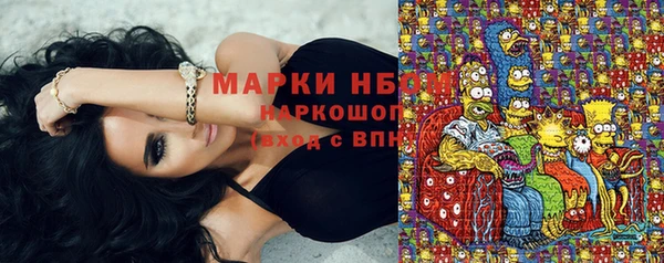 ГАЛЛЮЦИНОГЕННЫЕ ГРИБЫ Бородино
