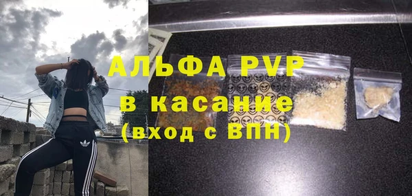 ГАЛЛЮЦИНОГЕННЫЕ ГРИБЫ Бородино