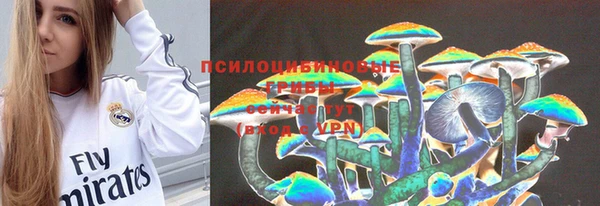 Альфа ПВП Бугульма