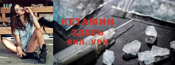 сатива Сосновый Бор