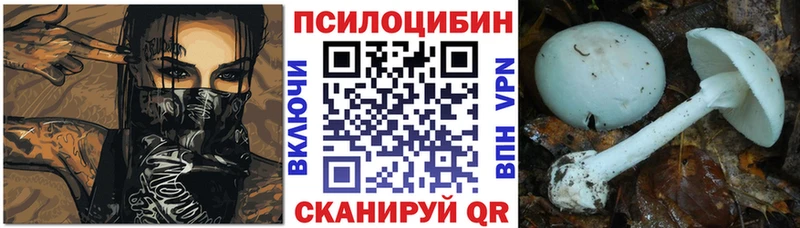 Галлюциногенные грибы Magic Shrooms Афипский